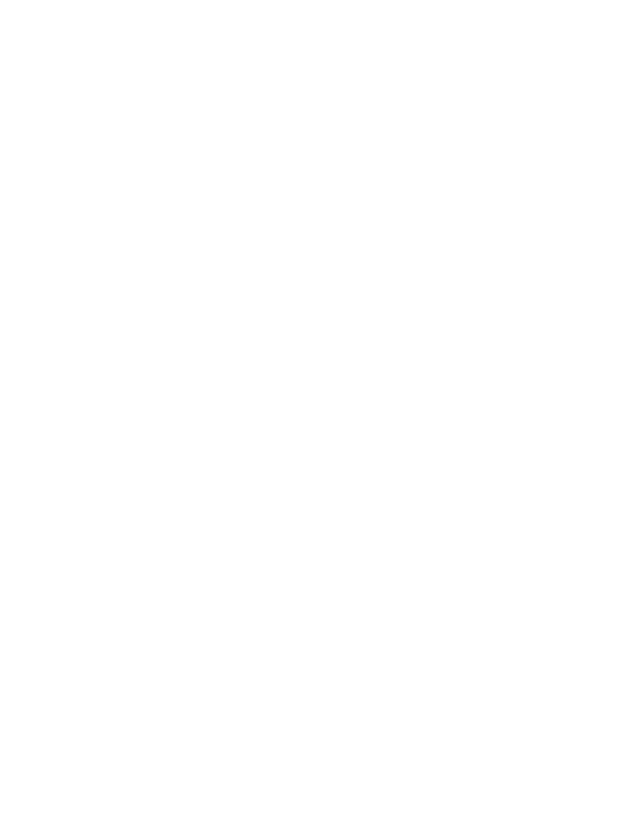 Creator Sports Club cheetah